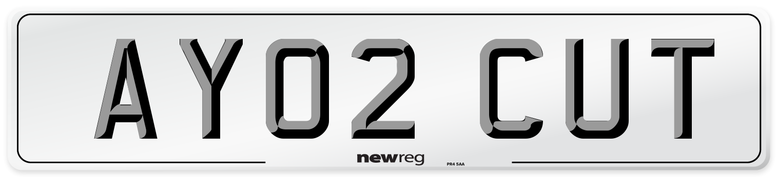 AY02 CUT Number Plate from New Reg